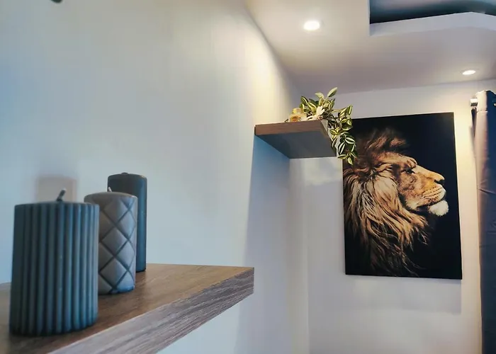 Vigny Du Appartement Amphion-les-Bains